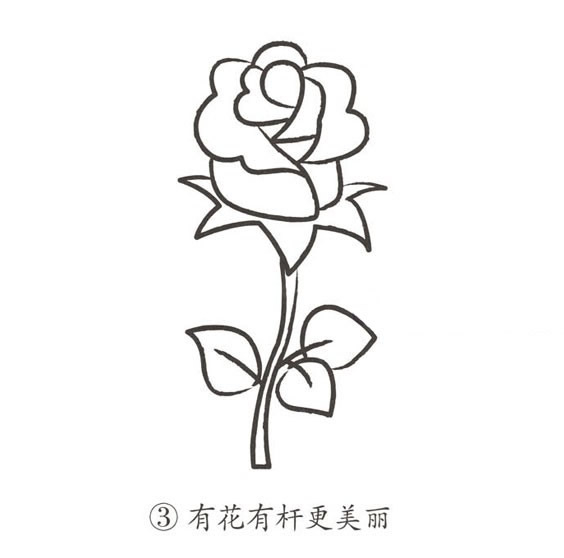 玫瑰花简笔画图片大全