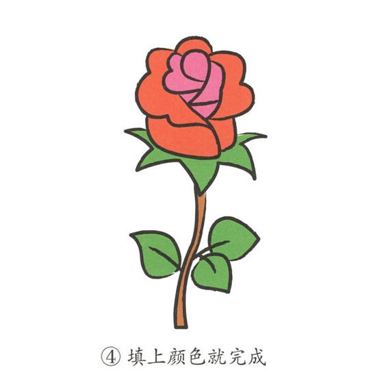 玫瑰花简笔画彩色图片