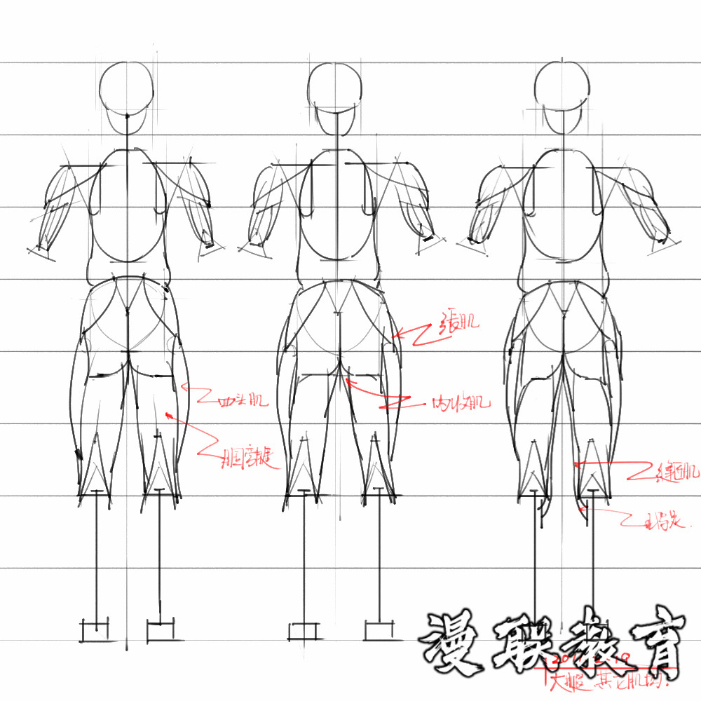 「动漫设计素材」分享一波绘画专用人体解剖素材 part 08