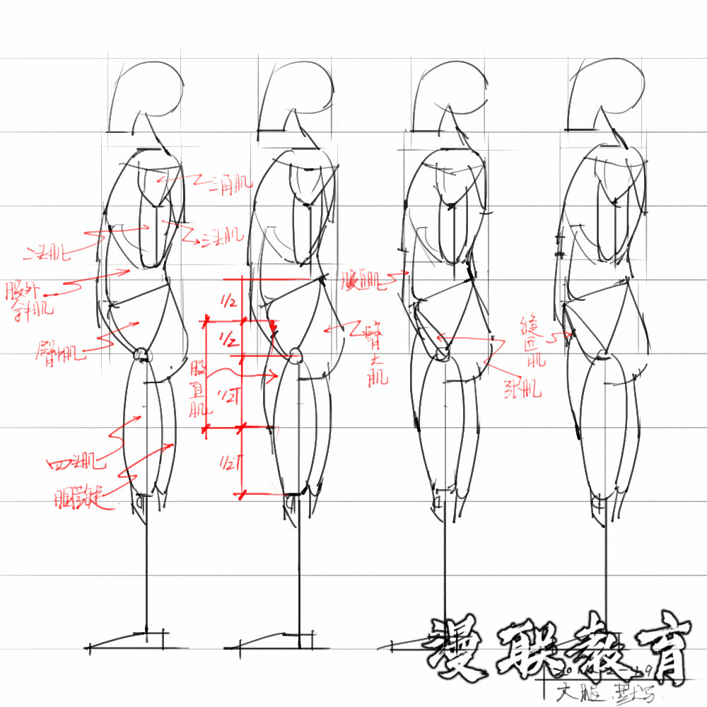 「动漫设计素材」分享一波绘画专用人体解剖素材 part 08