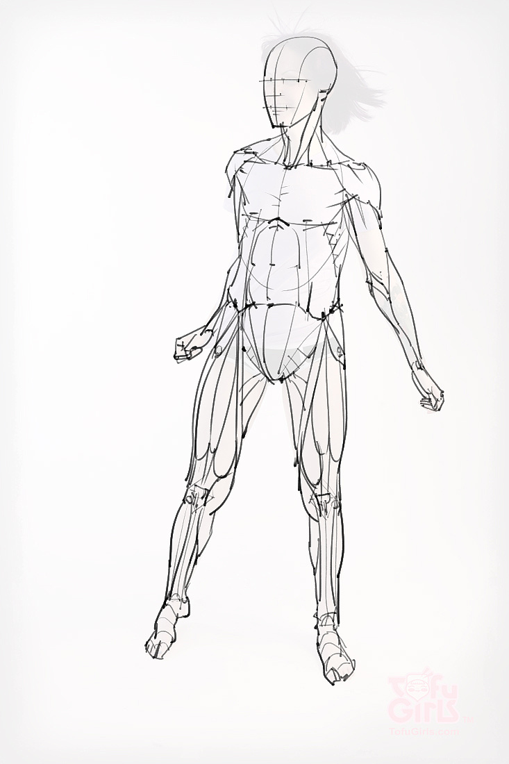 「动漫设计素材」分享一波绘画专用人体解剖素材 part 09