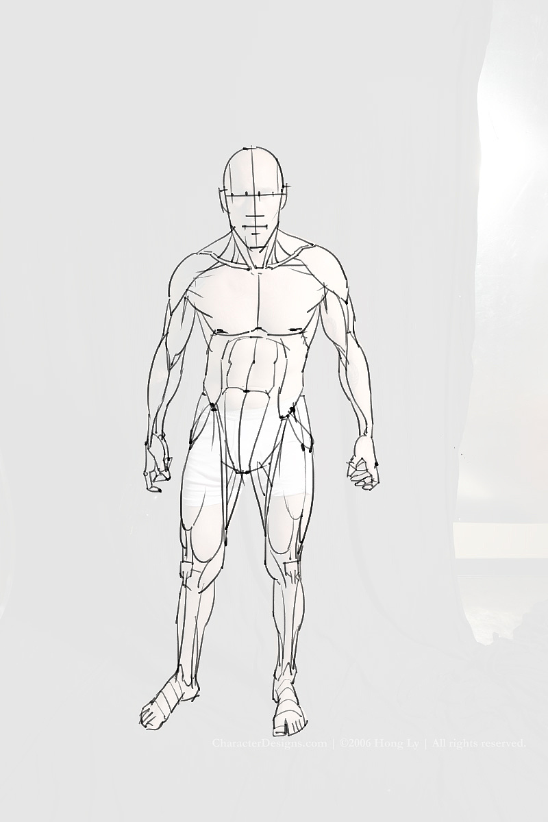 「动漫设计制作素材」分享一波绘画专用人体解剖素材 part 10
