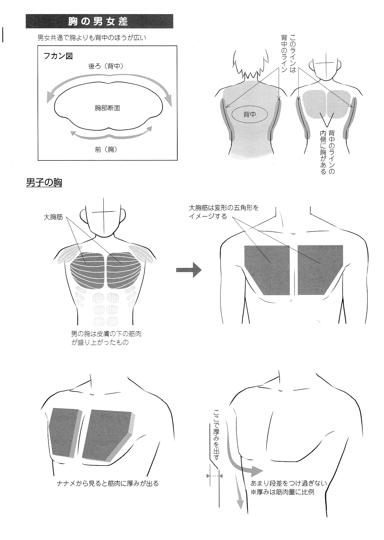 动漫角色设计：描绘男女の差别