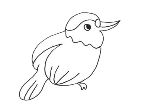 啄木鸟简笔画图片