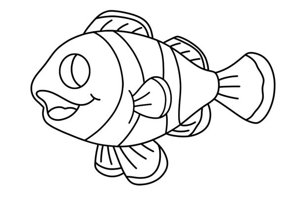 可爱的小丑鱼怎么画 彩色小丑鱼简笔画步骤图解教程