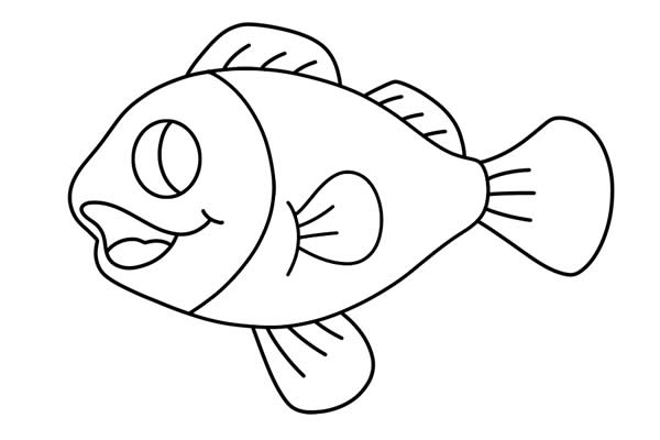 可爱的小丑鱼怎么画 彩色小丑鱼简笔画步骤图解教程