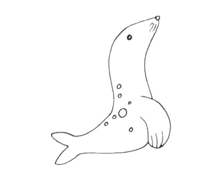海狮简笔画图片