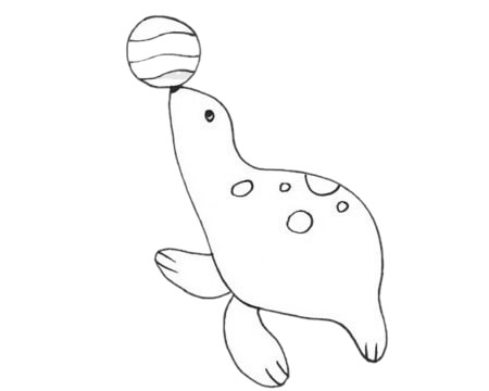 海狮简笔画图片