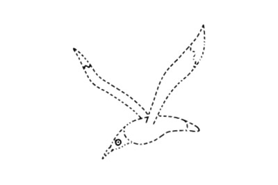 海鸥简笔画图片