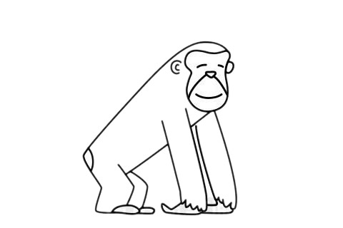猩猩简笔画图片