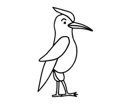 啄木鸟简笔画简单画法