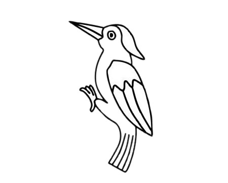 啄木鸟的画法 漂亮图片