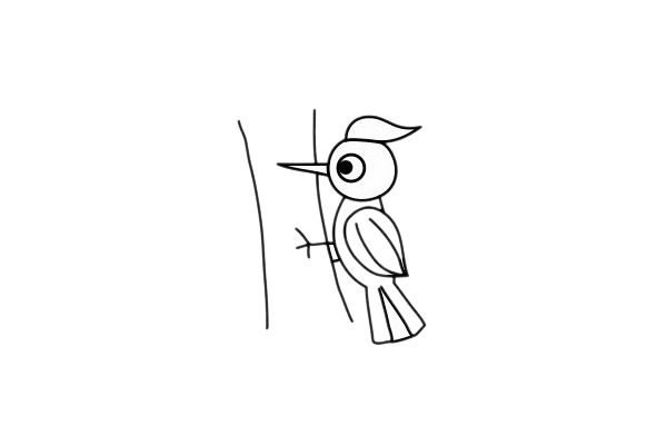 啄木鸟简单的画法