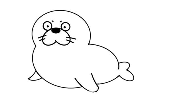 海狮怎么画简笔画图片大全