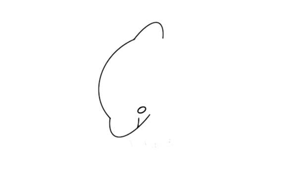 海豚怎么画又简单又漂亮又可爱 海豚简笔画步骤图解教程