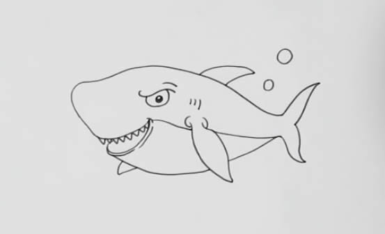 彩色鲨鱼简笔画 鲨鱼怎么画才可怕又凶猛又好看