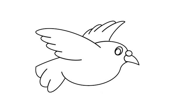 可爱白鸽子怎么画简笔画简单又漂亮