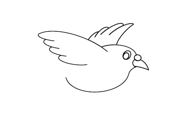 可爱白鸽子怎么画简笔画简单又漂亮