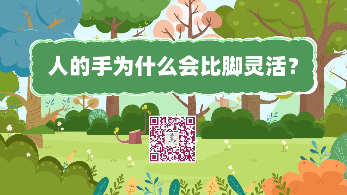 十万个为什么标题(为什么手会比脚灵活)1200.png 十万个为什么标题(为什么手会比脚灵活)1200.png
