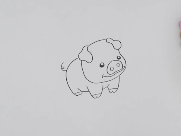 小猪怎么画简笔画简单又可爱