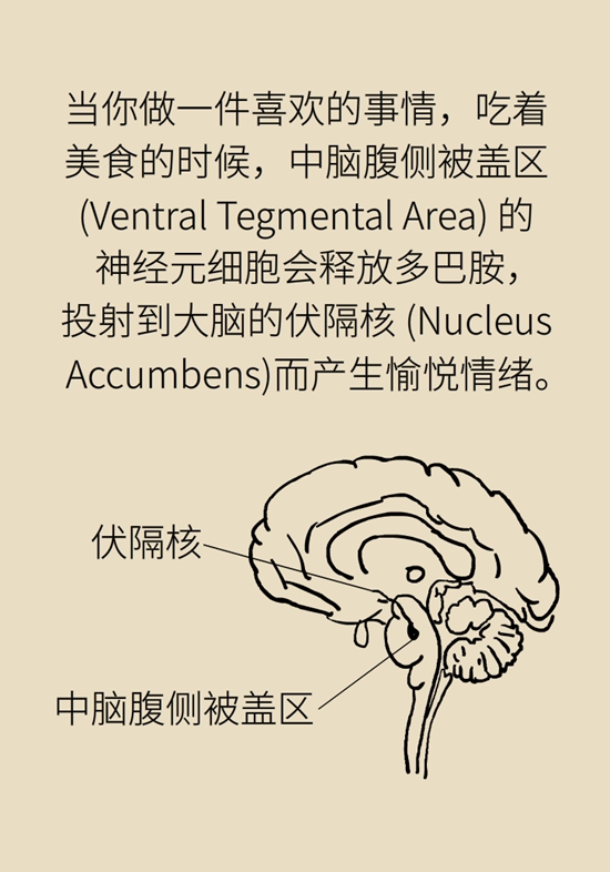 网瘾大脑疾病科普动漫制作