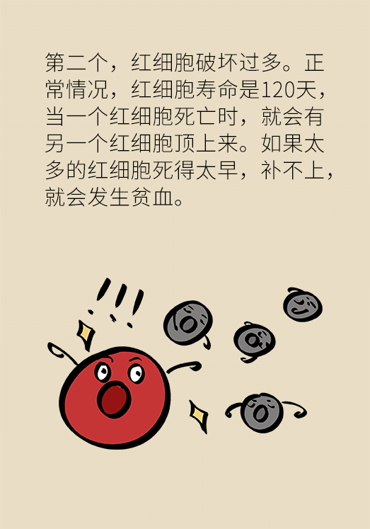 贫血科普动漫制作