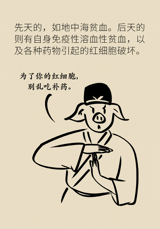 贫血科普动漫制作