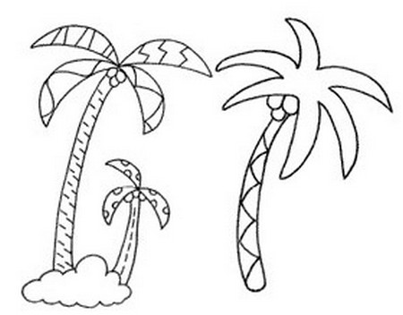 椰子树怎么画简笔画简单又好看