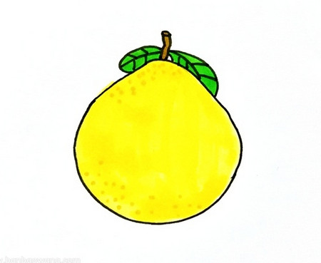 柚子怎么画简单又好看
