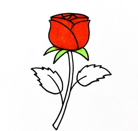 玫瑰花怎么画简笔画又漂亮