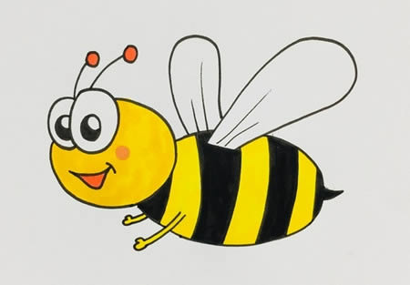 卡通蜜蜂怎么画简单好看-蜜蜂简笔画步骤图解