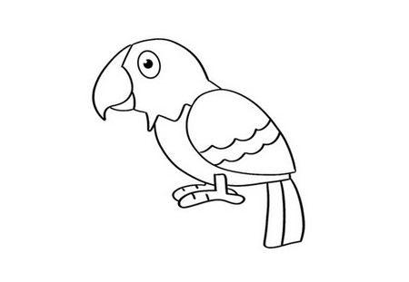 红绿鹦鹉简笔画图片