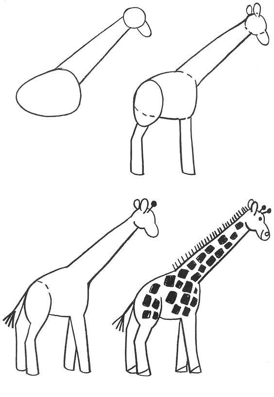 简单四步画出长颈鹿,猴子和乌龟简笔画图片