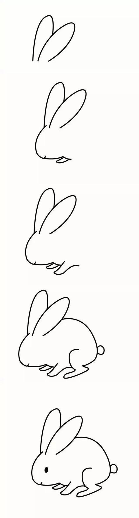 flash兔子怎么画