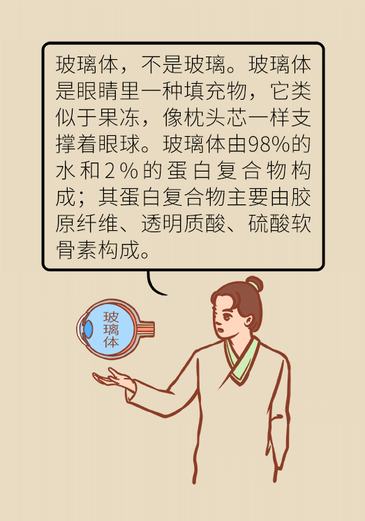 眼科医学科普动漫