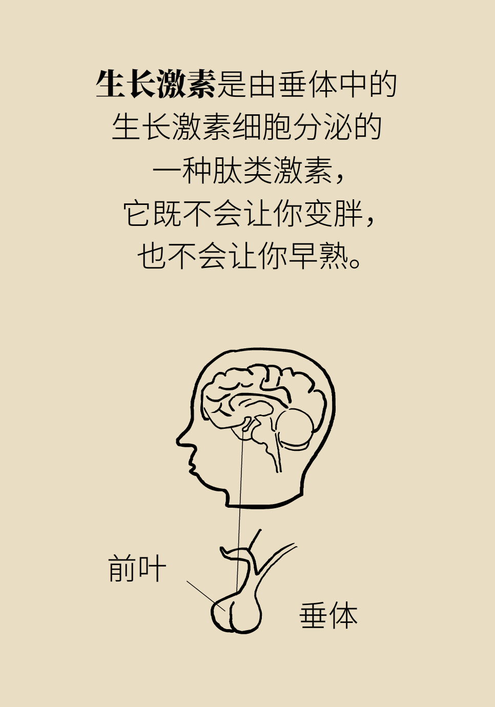 身高医学知识科普动画制作