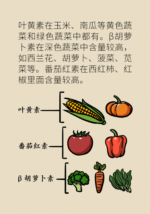 剩菜医学知识科普动漫制作