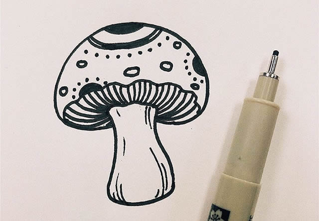 蘑菇03.jpg