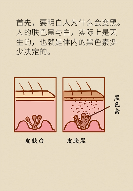 美白医学知识科普动漫