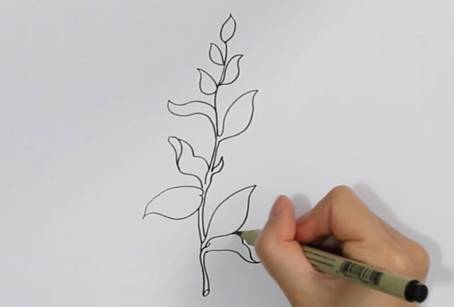 茶树怎么画简单又漂亮,茶树简笔画彩色画法
