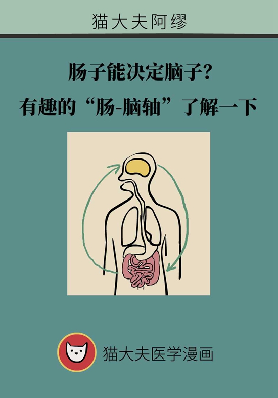 肠道健康医学动漫制作