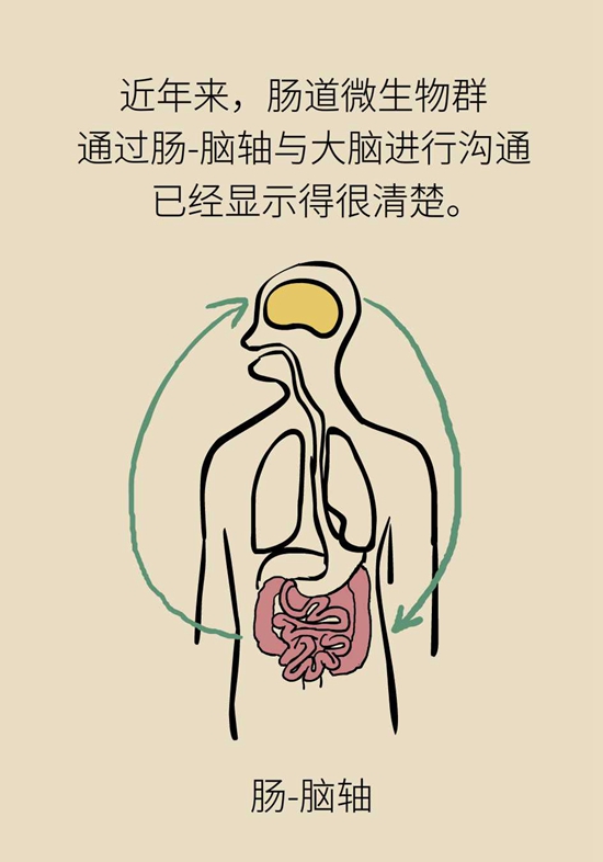 肠道健康医学动漫制作