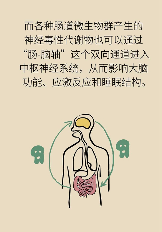 肠道健康医学动漫制作