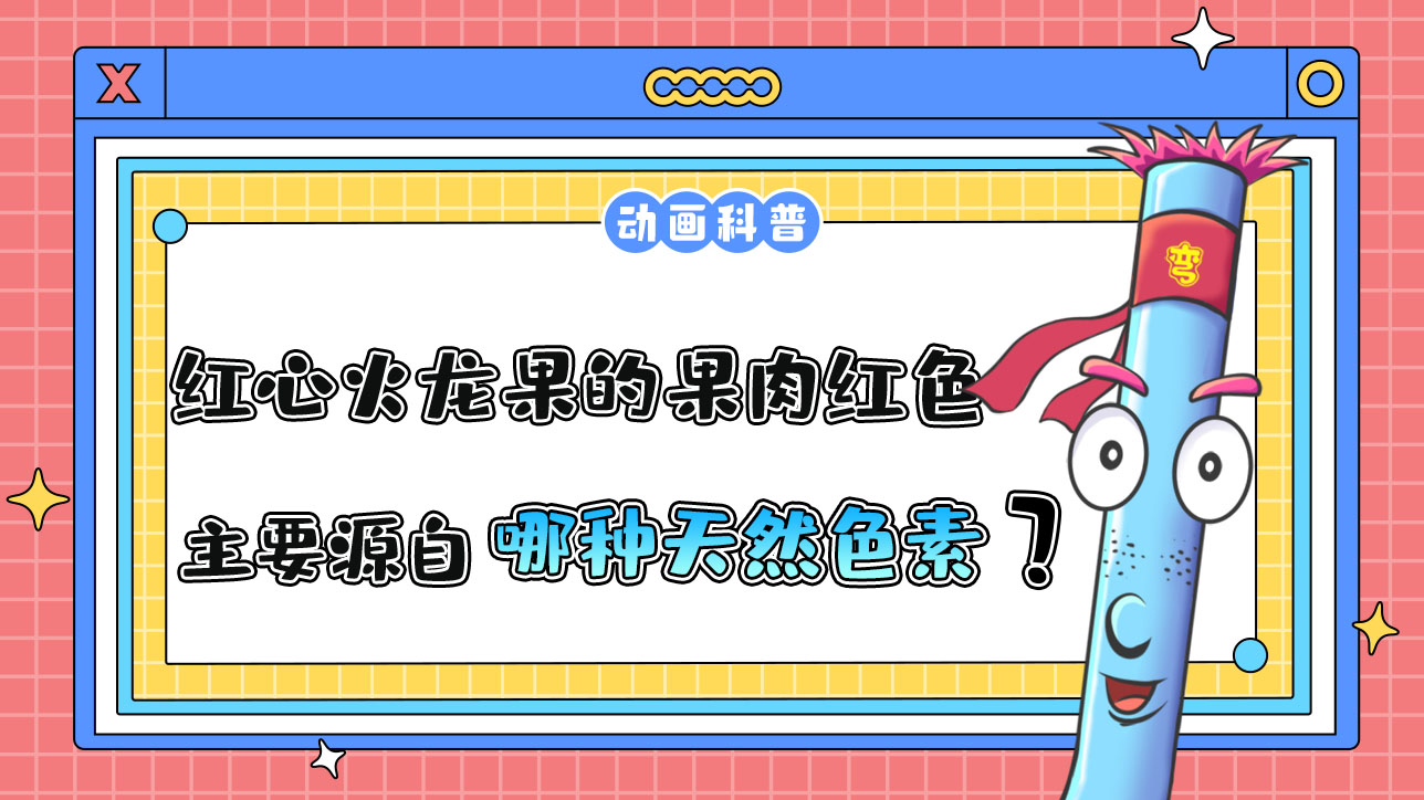 红心火龙果的果肉之所以是红色，主要源自哪种天然色素呢？.jpg