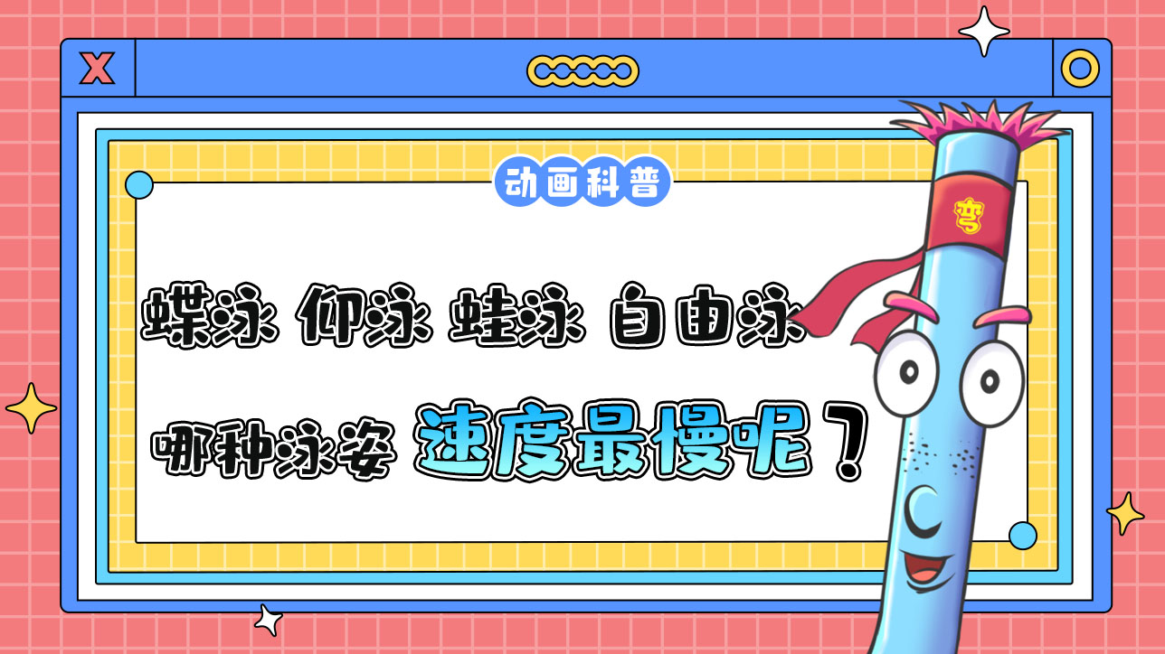 在蝶泳、仰泳、蛙泳和自由泳四个项目中，哪种泳姿的速度最慢呢？.jpg