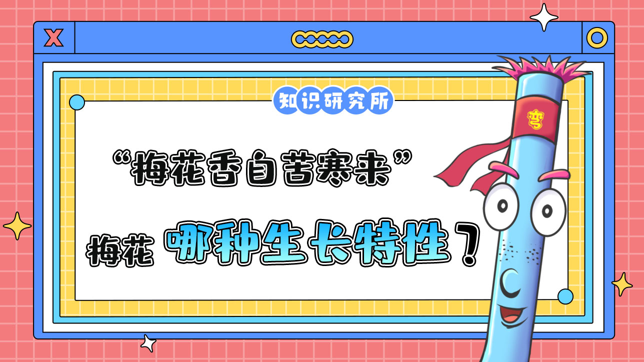 “梅花香自苦寒来”说的是梅花的哪种生长特性？.jpg